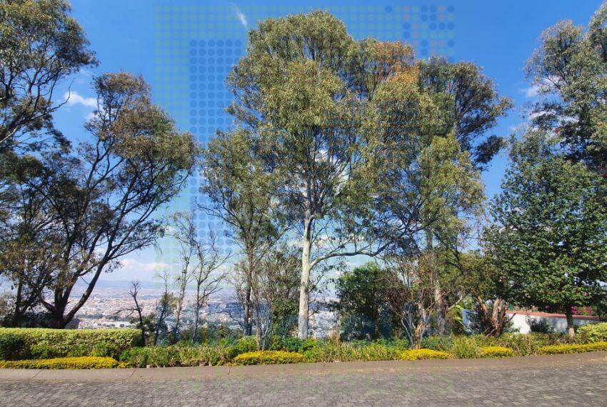 8096cad0-9011-43b4-8654-103335a90913