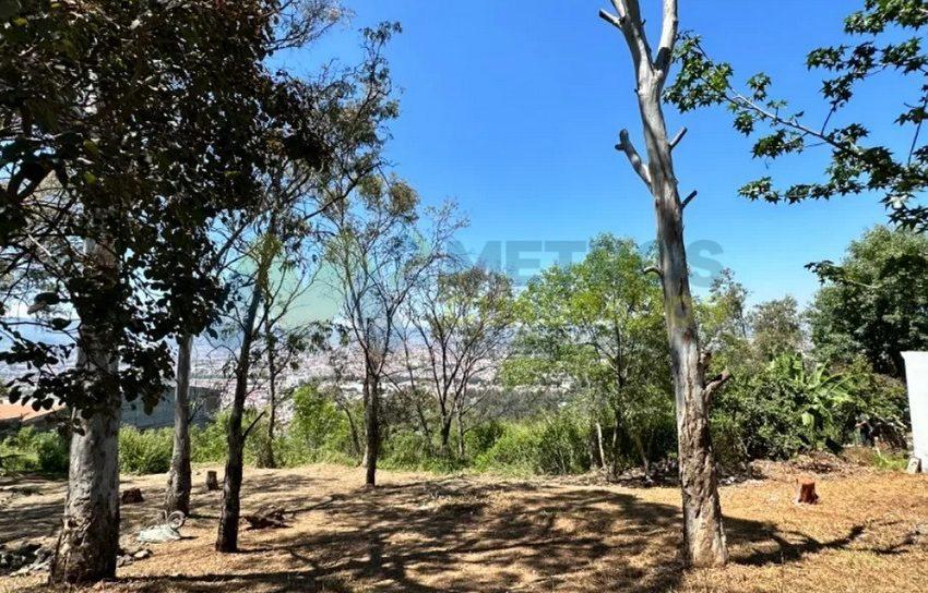 WhatsApp Image 2026-02-27 at 10.10.52 AM