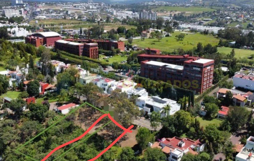 WhatsApp Image 2026-02-27 at 10.10.54 AM