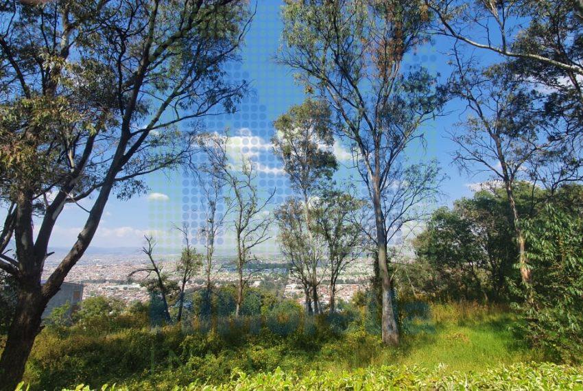 a6cfa44a-cf8d-4d33-b32a-809ed1986c14