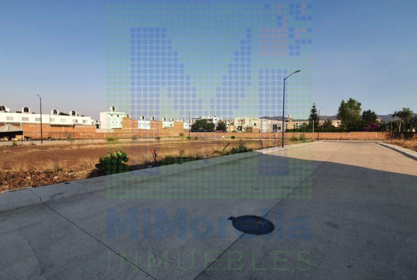 028bf743-1aa9-4a26-8383-bc271f5e9fc3