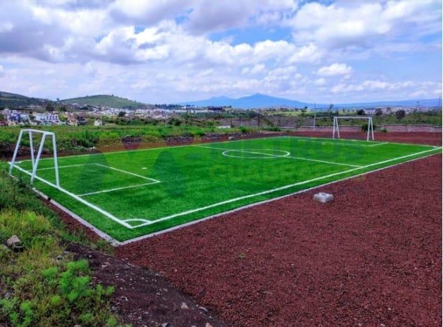 d211d459-4db5-4165-b026-ac7cb1244924