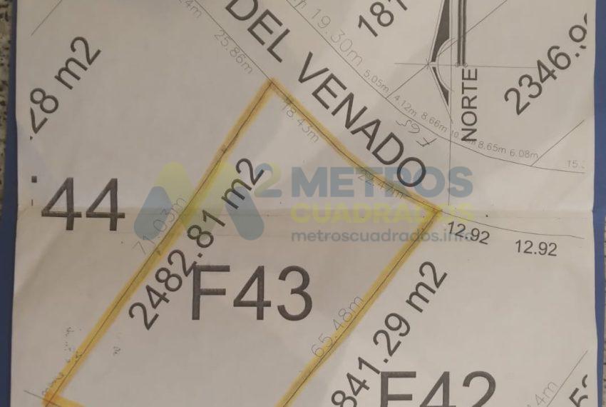 WhatsApp Image 2025-02-10 at 4.44.14 PM