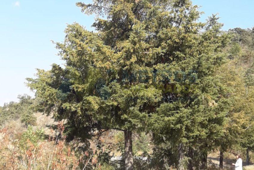 WhatsApp Image 2025-02-10 at 4.44.37 PM (1)