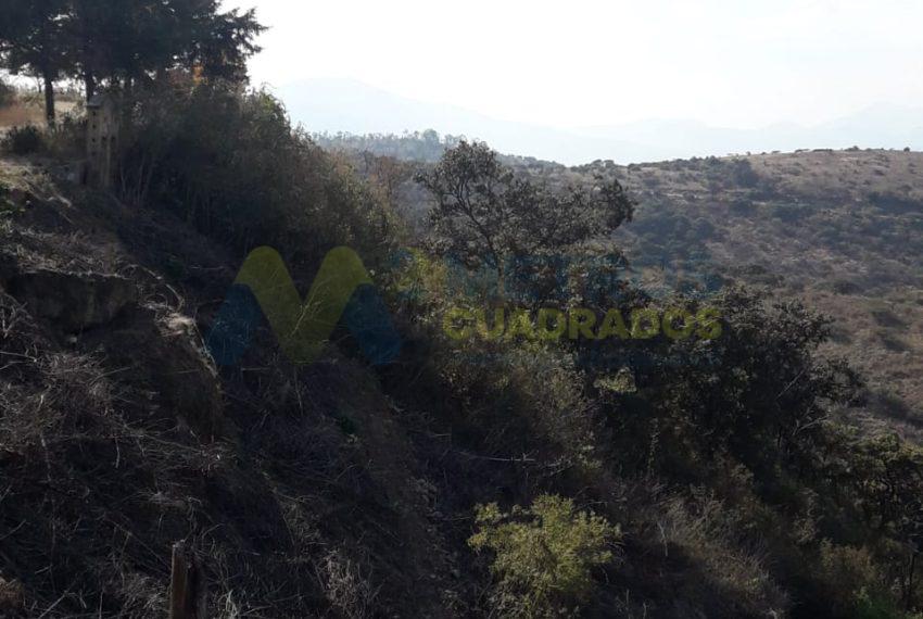 WhatsApp Image 2025-02-10 at 4.44.37 PM (2)