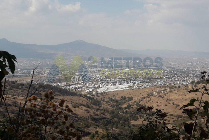 WhatsApp Image 2025-02-10 at 4.44.37 PM (3)