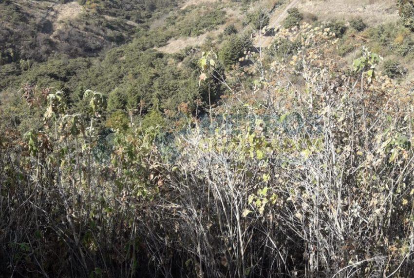 WhatsApp Image 2025-02-10 at 4.44.37 PM