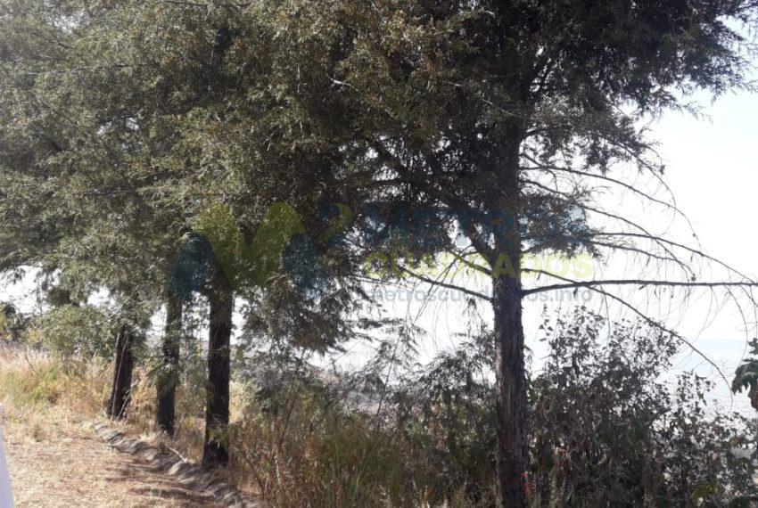 WhatsApp Image 2025-02-10 at 4.44.38 PM