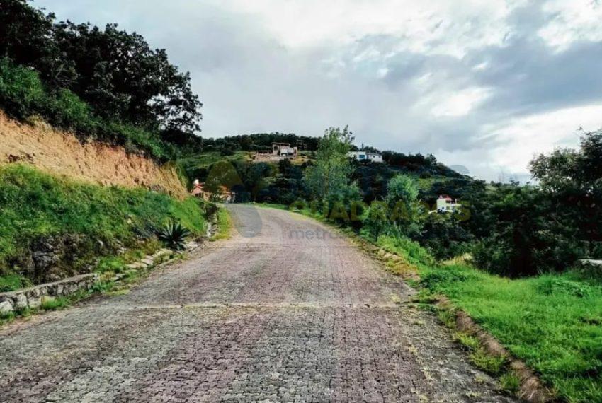 WhatsApp Image 2025-02-24 at 12.41.18 PM (1)