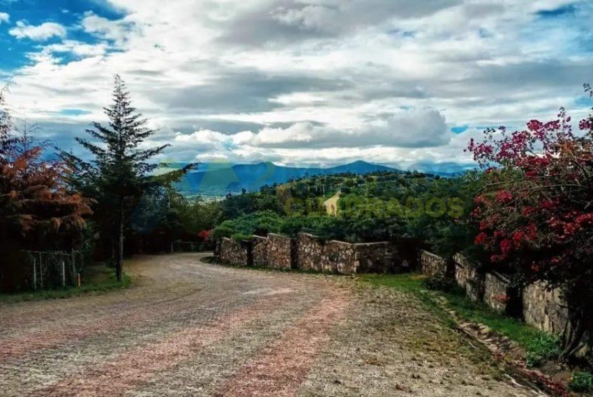 WhatsApp Image 2025-02-24 at 12.41.18 PM (2)