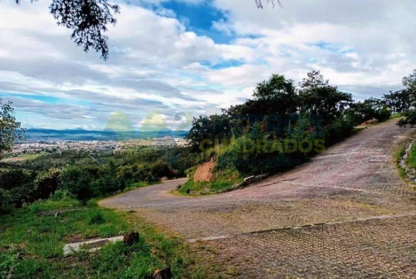 WhatsApp Image 2025-02-24 at 12.41.18 PM (3)