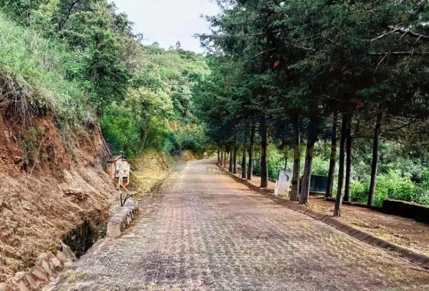 WhatsApp Image 2025-02-24 at 12.41.18 PM (4)