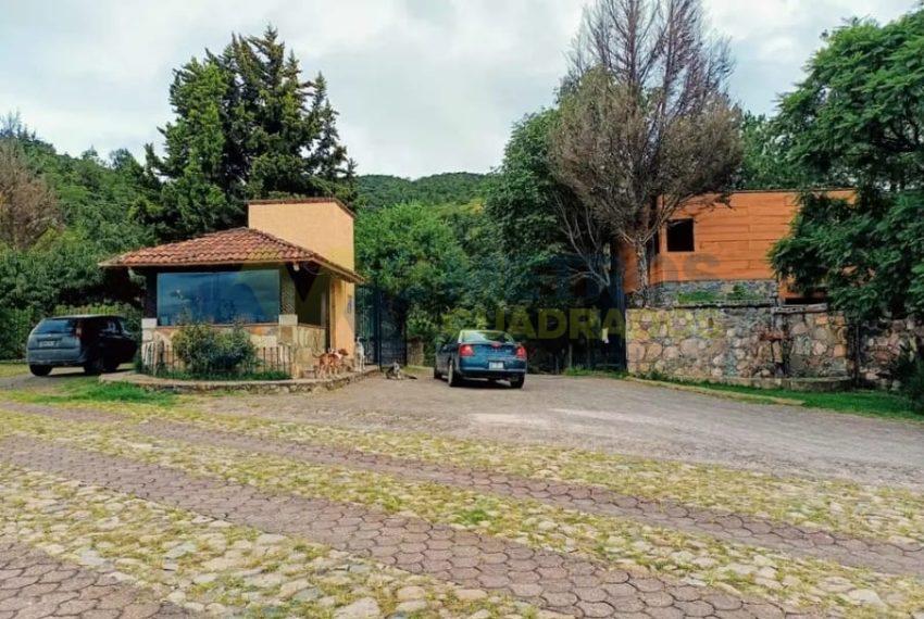 WhatsApp Image 2025-02-24 at 12.41.18 PM