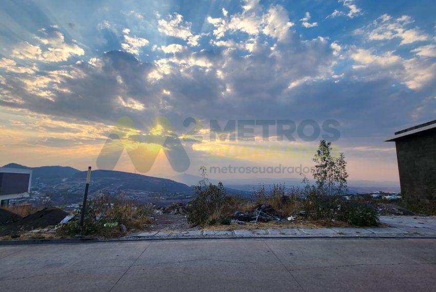 WhatsApp Image 2024-04-26 at 10.05.44 AM