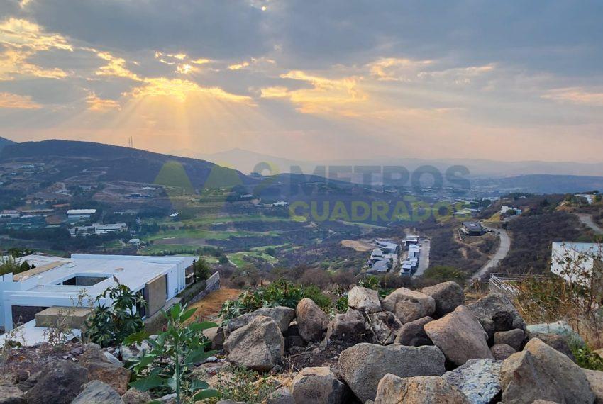 WhatsApp Image 2024-04-26 at 10.05.52 AM