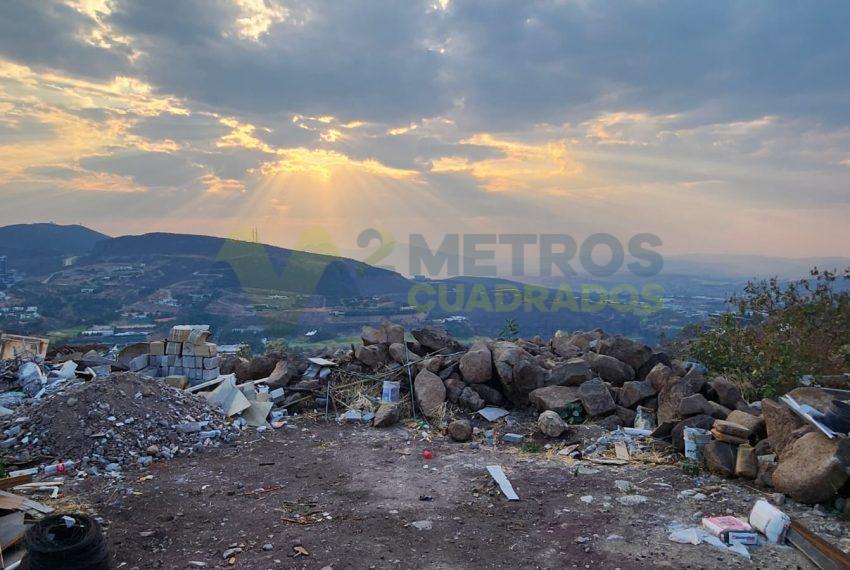 WhatsApp Image 2024-04-26 at 10.06.42 AM