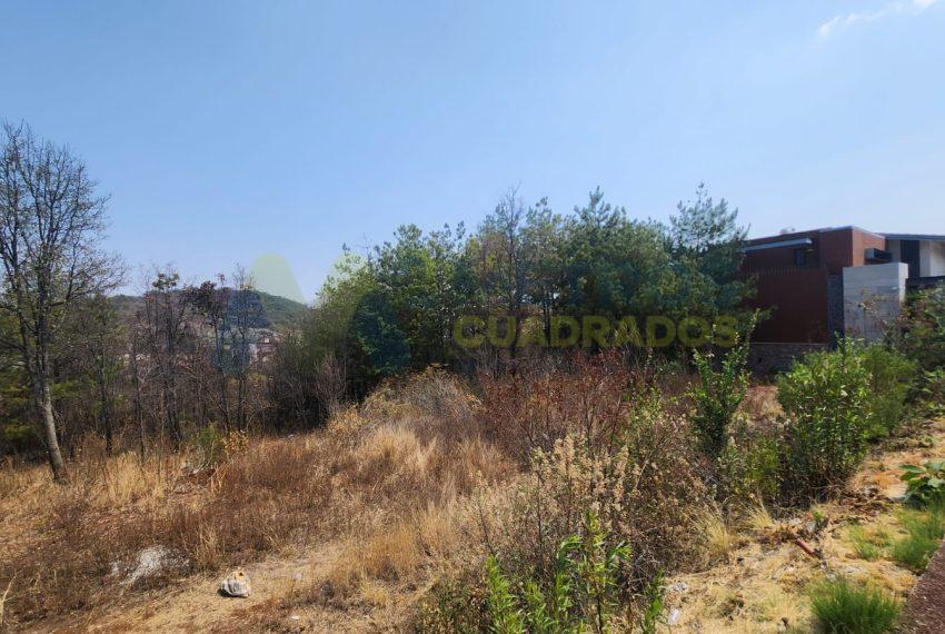 WhatsApp Image 2024-06-12 at 10.10.11 AM (3)