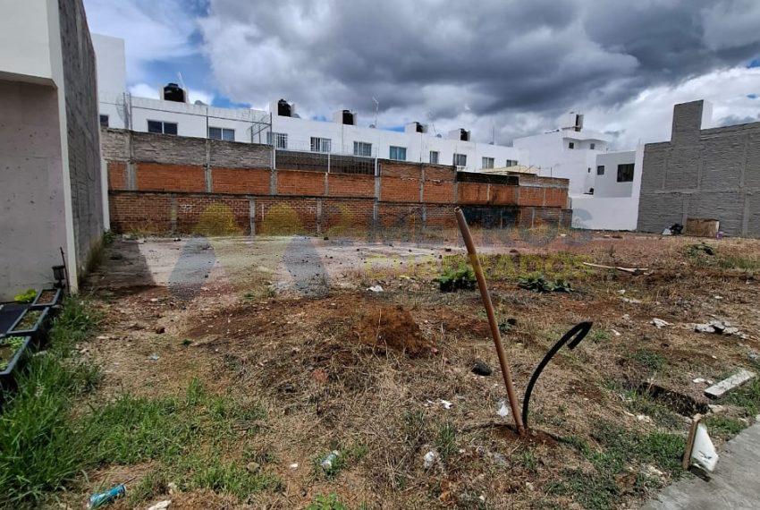 WhatsApp Image 2024-07-03 at 2.02.23 PM (1)