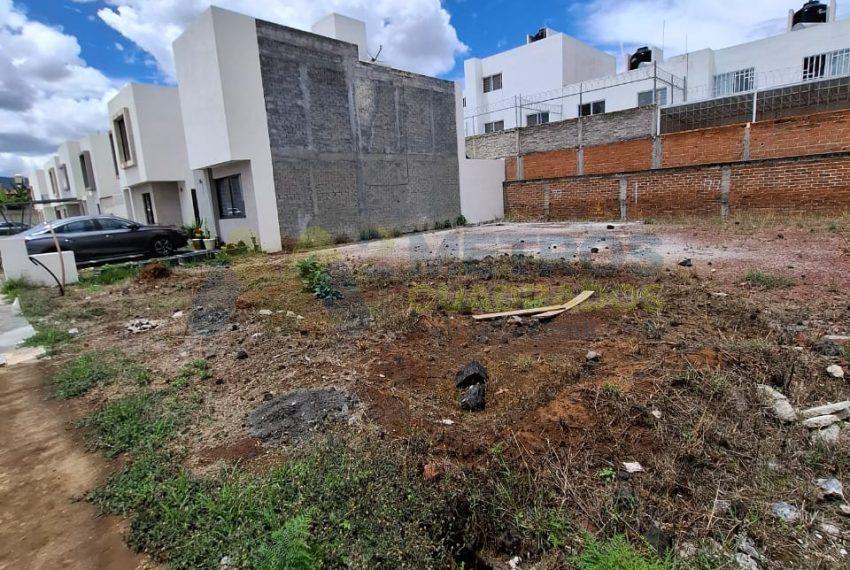 WhatsApp Image 2024-07-03 at 2.02.23 PM (2)