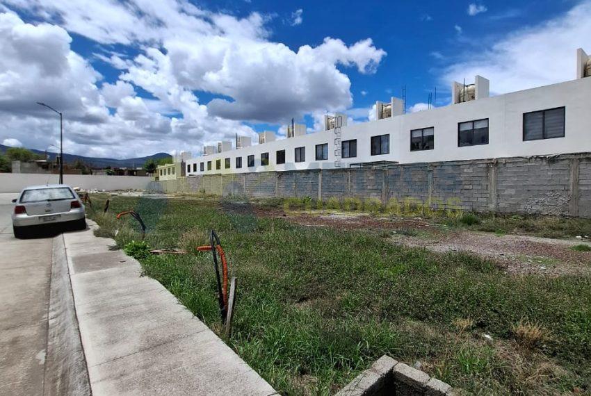 WhatsApp Image 2024-07-03 at 2.02.23 PM (3)