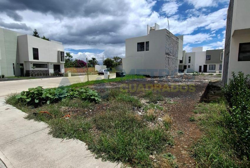 WhatsApp Image 2024-07-03 at 2.02.23 PM (6)