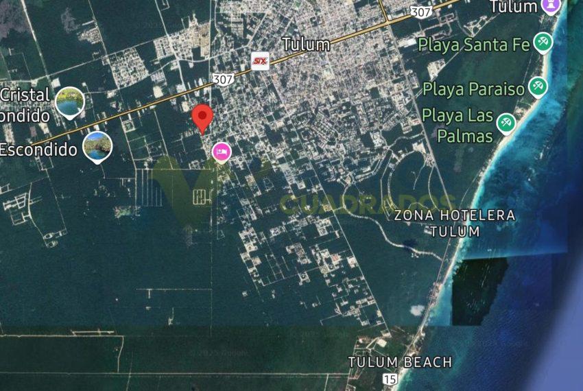 WhatsApp Image 2025-05-15 at 9.14.50 AM