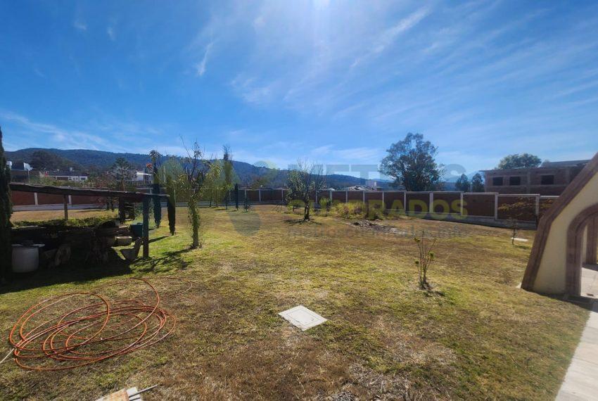 WhatsApp Image 2025-02-05 at 3.56.20 PM (4)