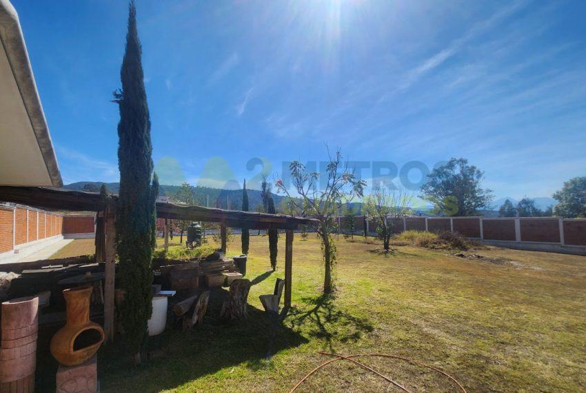 WhatsApp Image 2025-02-05 at 3.56.20 PM