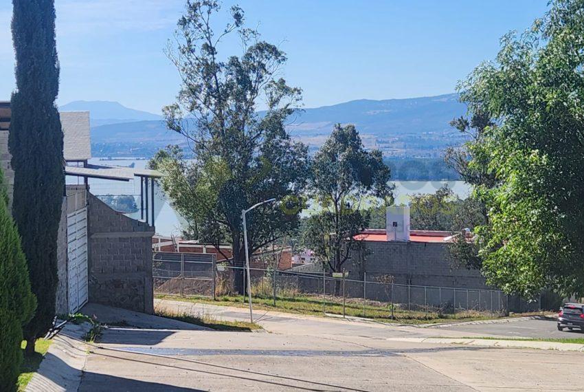 WhatsApp Image 2025-02-05 at 3.56.21 PM (3)