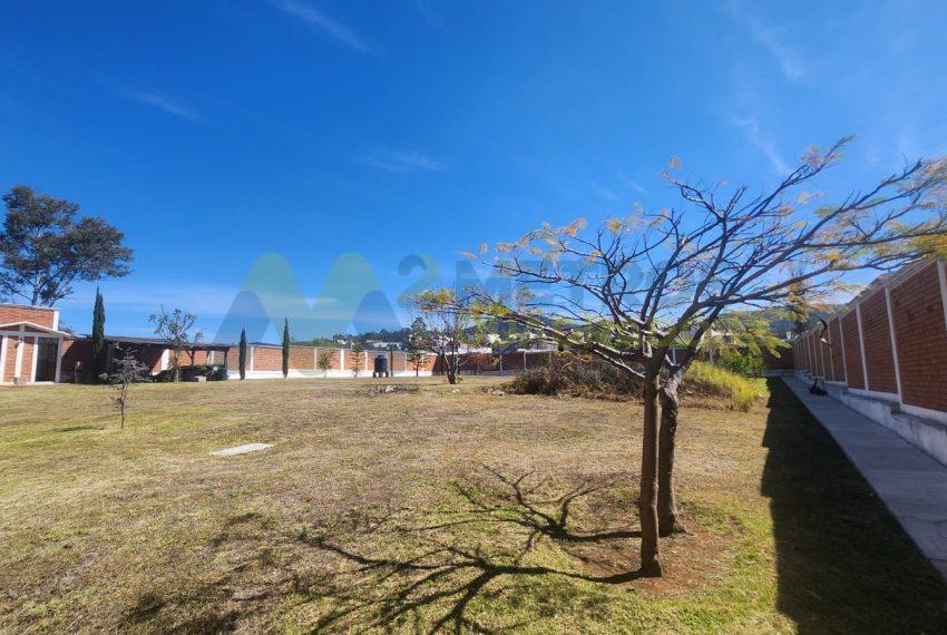 WhatsApp Image 2025-02-05 at 3.56.21 PM (4)