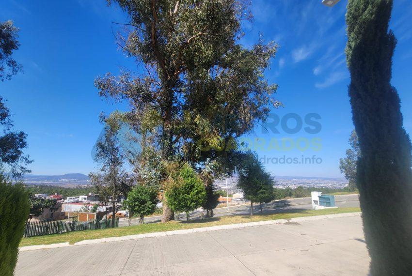 WhatsApp Image 2025-02-05 at 3.56.21 PM