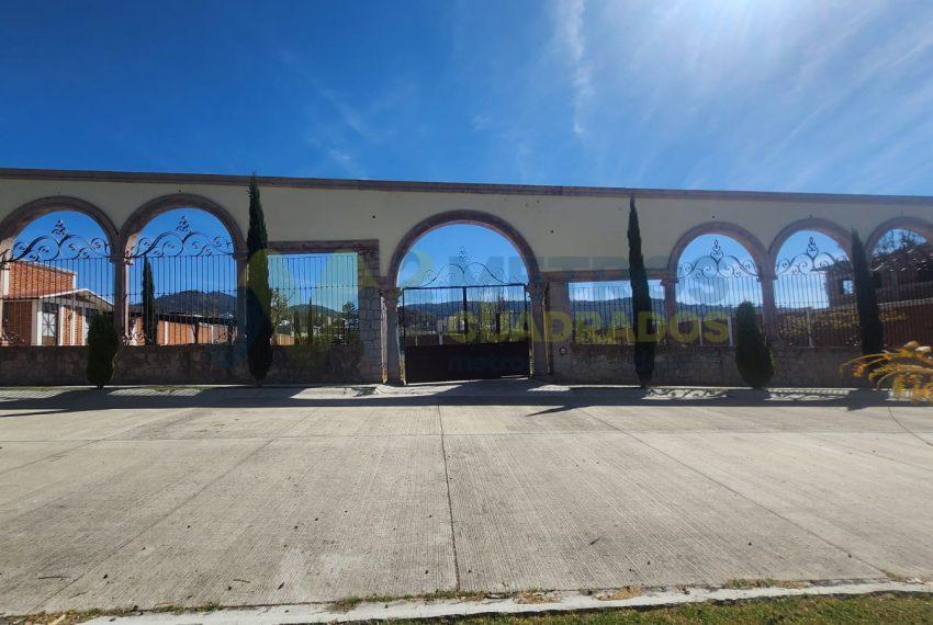 WhatsApp Image 2025-02-05 at 3.56.22 PM (1)