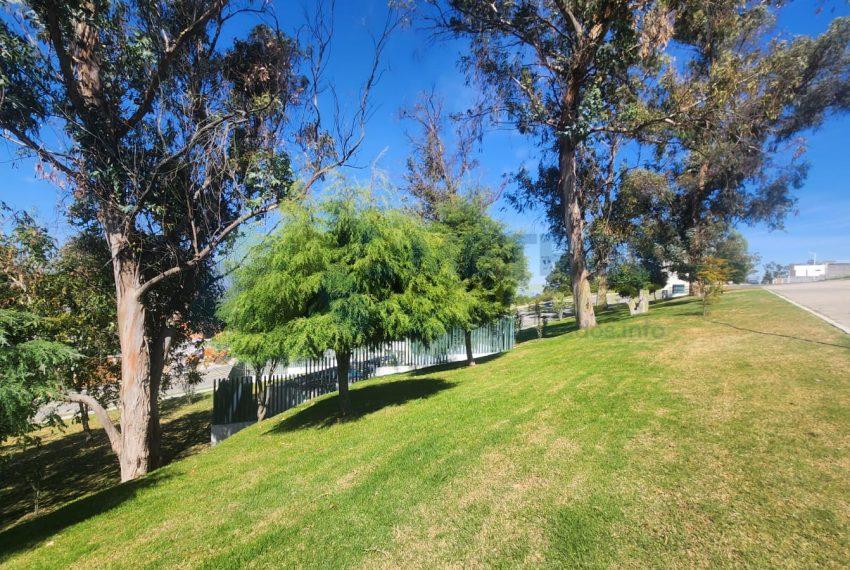 WhatsApp Image 2025-02-05 at 3.56.22 PM (4)