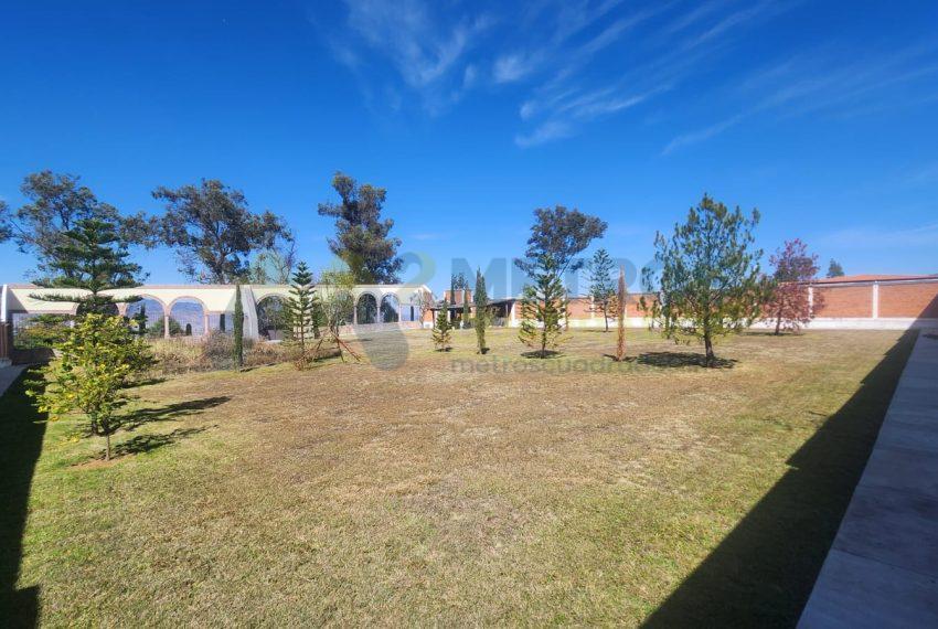 WhatsApp Image 2025-02-05 at 3.56.22 PM