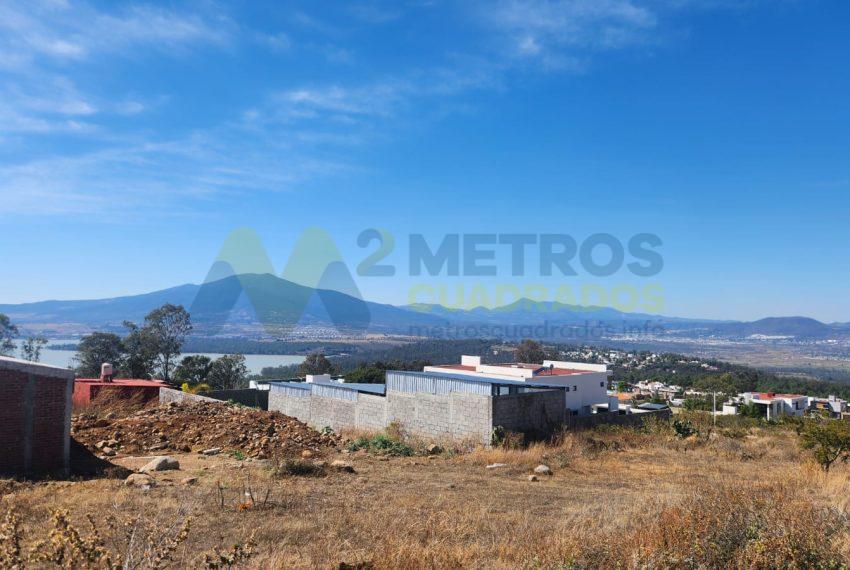 WhatsApp Image 2025-02-05 at 3.56.23 PM (1)