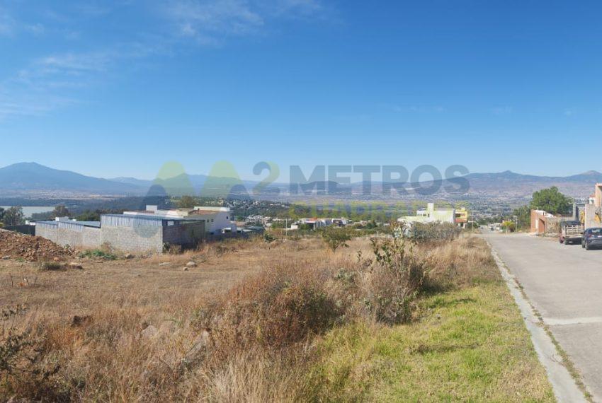 WhatsApp Image 2025-02-05 at 3.56.23 PM (2)