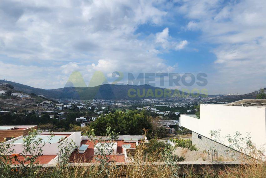 WhatsApp Image 2025-02-21 at 10.19.48 AM (3)