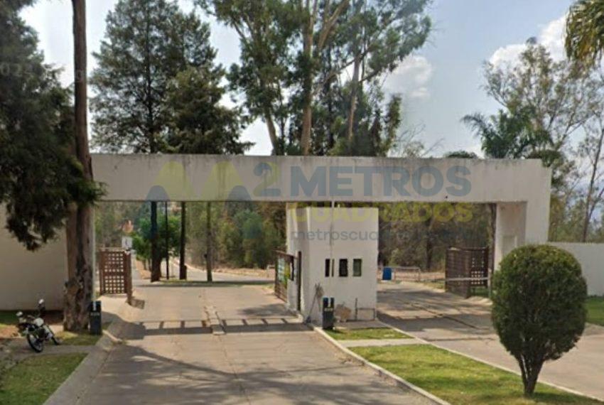 entrada salida