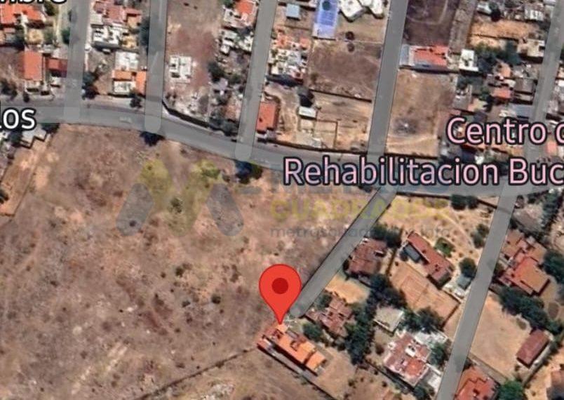 WhatsApp Image 2025-03-05 at 9.52.19 AM