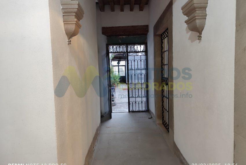 WhatsApp Image 2025-04-03 at 3.25.56 PM