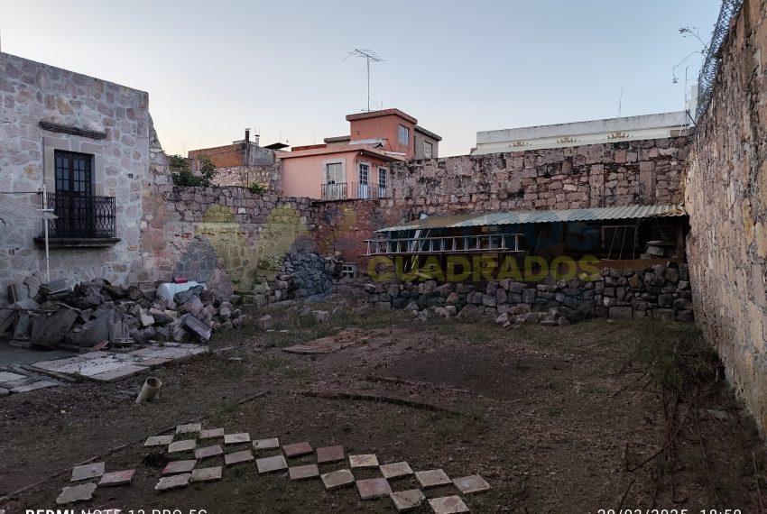 WhatsApp Image 2025-04-03 at 3.26.12 PM (1)