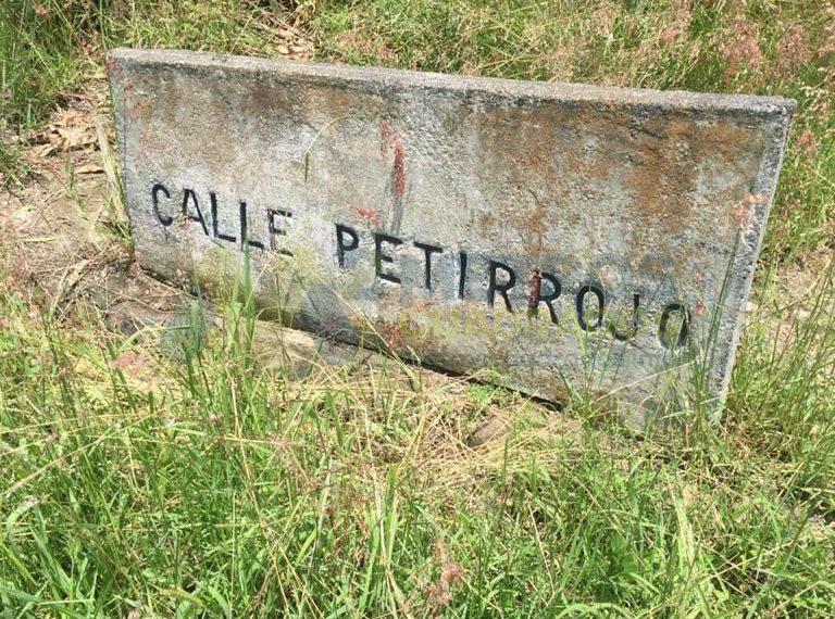 WhatsApp Image 2025-05-13 at 3.16.37 PM (2)