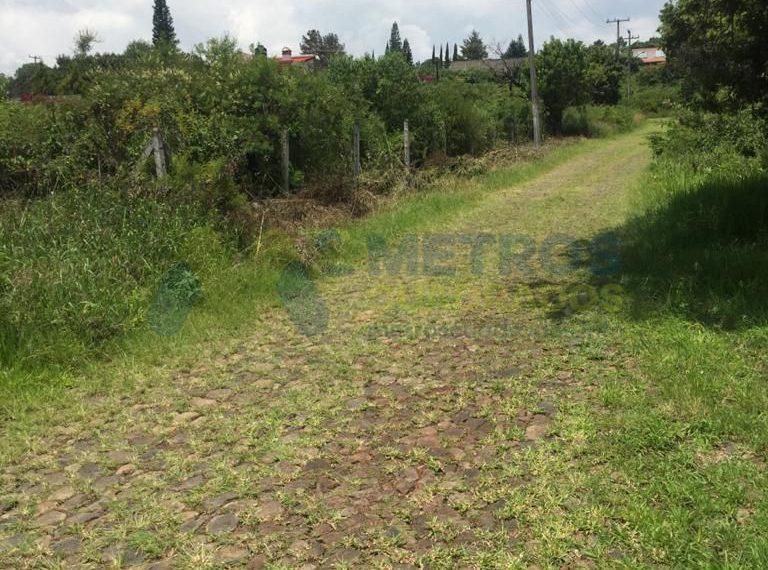 WhatsApp Image 2025-05-13 at 3.16.37 PM (3)