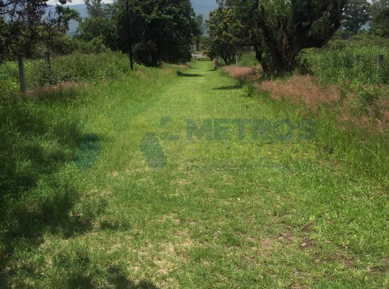 WhatsApp Image 2025-05-13 at 3.16.37 PM