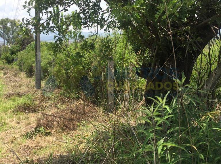 WhatsApp Image 2025-05-13 at 3.16.38 PM (1)