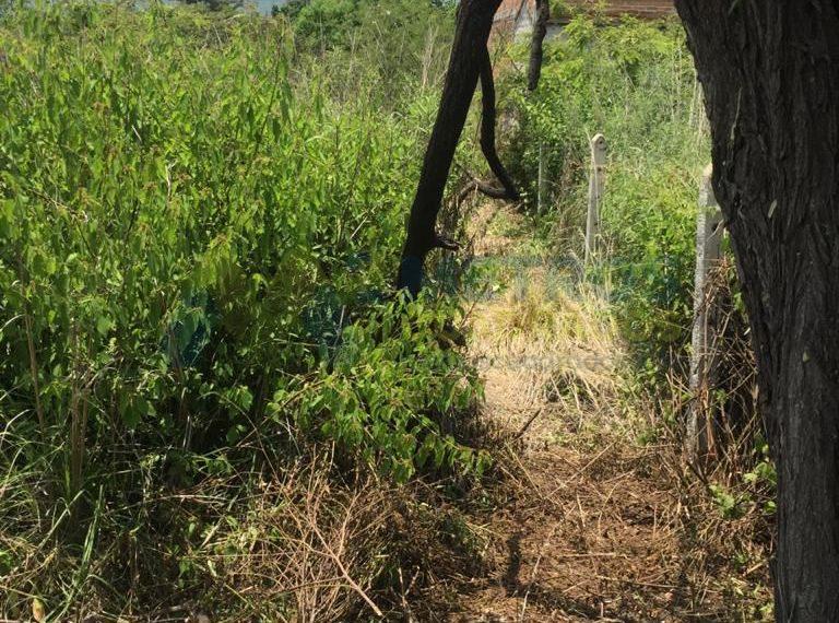 WhatsApp Image 2025-05-13 at 3.16.38 PM (2)