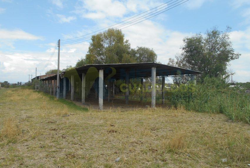 WhatsApp Image 2024-07-22 at 11.07.00 AM (1)