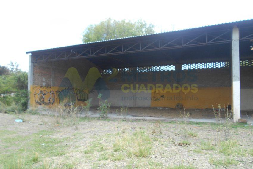 WhatsApp Image 2024-07-22 at 11.07.01 AM (1)