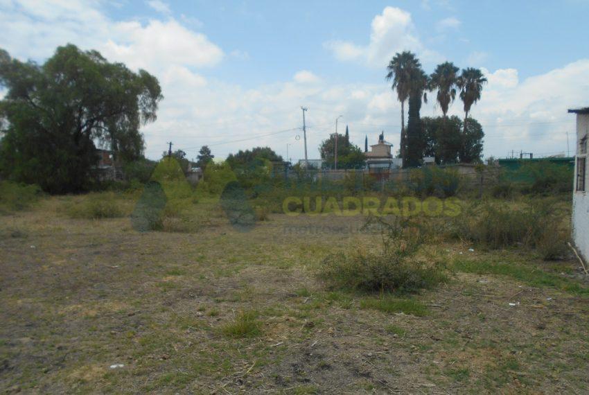 WhatsApp Image 2024-07-22 at 11.07.01 AM (2)