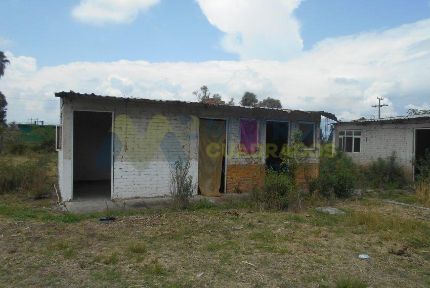 WhatsApp Image 2024-07-22 at 11.07.01 AM (4)